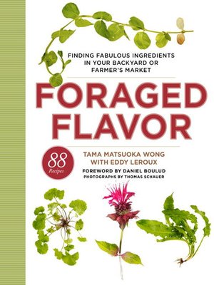 cover image of Foraged Flavor